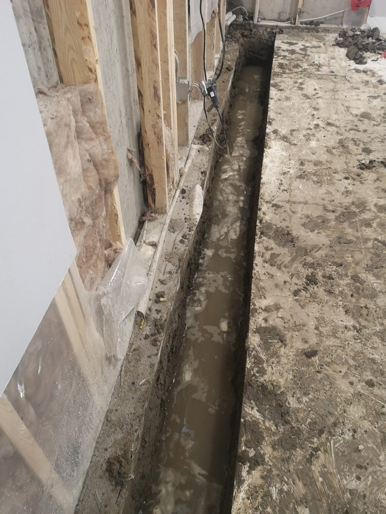 Professional contractor